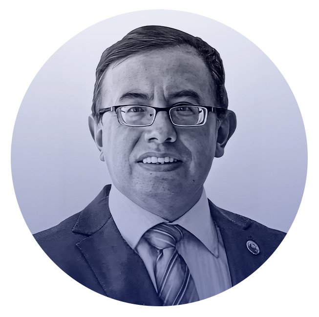 Enrique Bastidas Roman